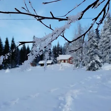 Rauha Villa